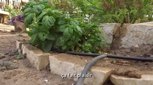 Entrepreneurs africain#2 : des tuyaux d'irrigation à base de plastique recyclé