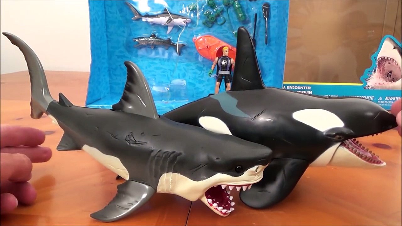 Animal Planet Mega Great White Shark & Orca Killer Whale Set Unboxing Play  - Vidéo Dailymotion