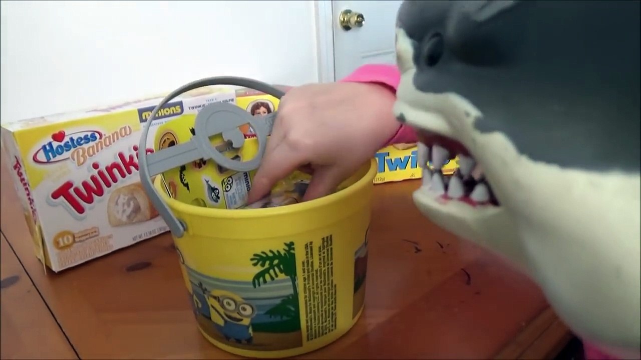 Feeding Pet Sharks Banana Twinkies Shark vs Min...