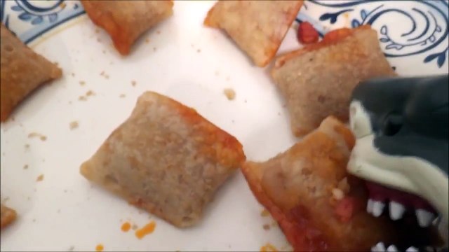 Pet Shark Feeds Pet Dog Pizza Rolls Toy Freaks Style _)