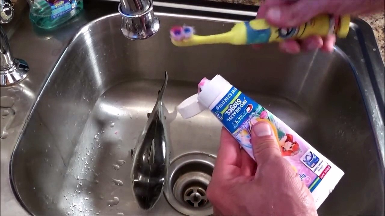 Sharks Eating Pies Messy Food Fight Style Toy Shark Challenge