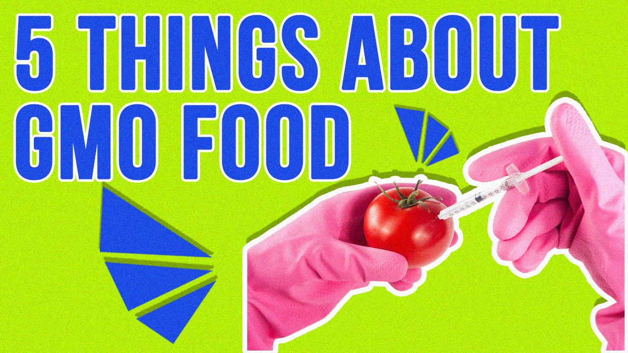 5 Thing You Didn't Know About GMO