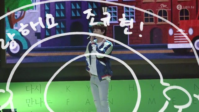 Fan khóc ngất khi Kyu Hyun nói lời tạm biệt trước khi nhập ngũ