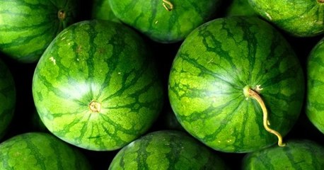 Kako odabrati pravu lubenicu