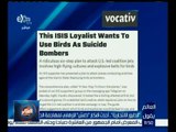 #العالم_يقول | “ الطيور الانتحارية “ .. أحدث أفكار داعش لمهاجمة الطائرات