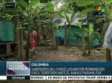 Colombia: los chocoanos insisten en la defensa de sus territorios