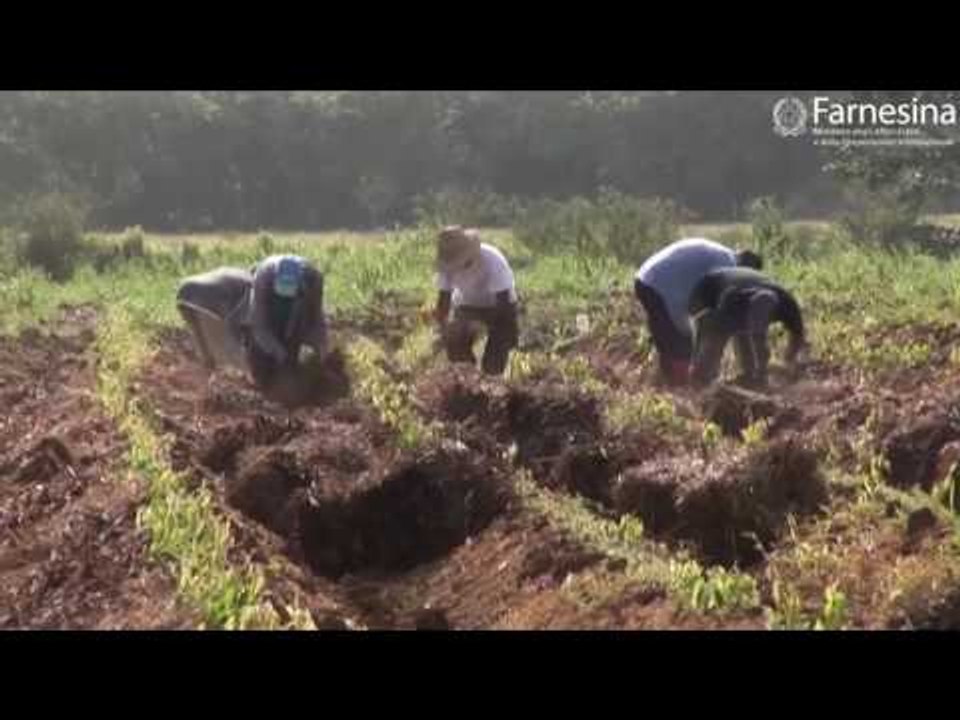 “Building the sustainable food systems of the 21st Century