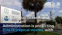 The NOAA is expecting a rough hurricane season