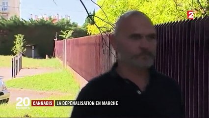 Cannabis : la dépénalisation en marche