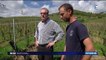 Alsace : découverte de la plus vieille route des vins