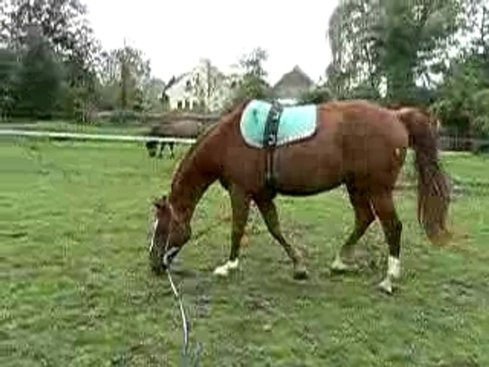 equilonge pas