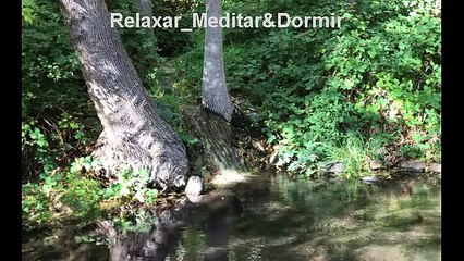 Música para aliviar o stress e tranquilizar a mente