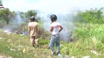 Bomberos reportan incremento en incendios forestales