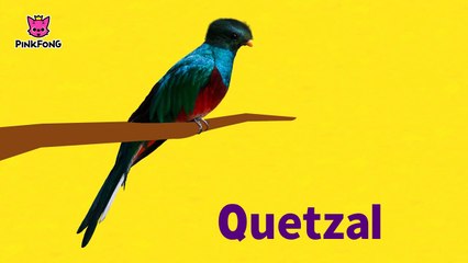 ABC Tren de Animales _ Animales _ PINKFON