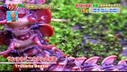 ヘンないきもの２０１６最新ランキング　大発表ＳＰ　10月4日　その1 part 1/2