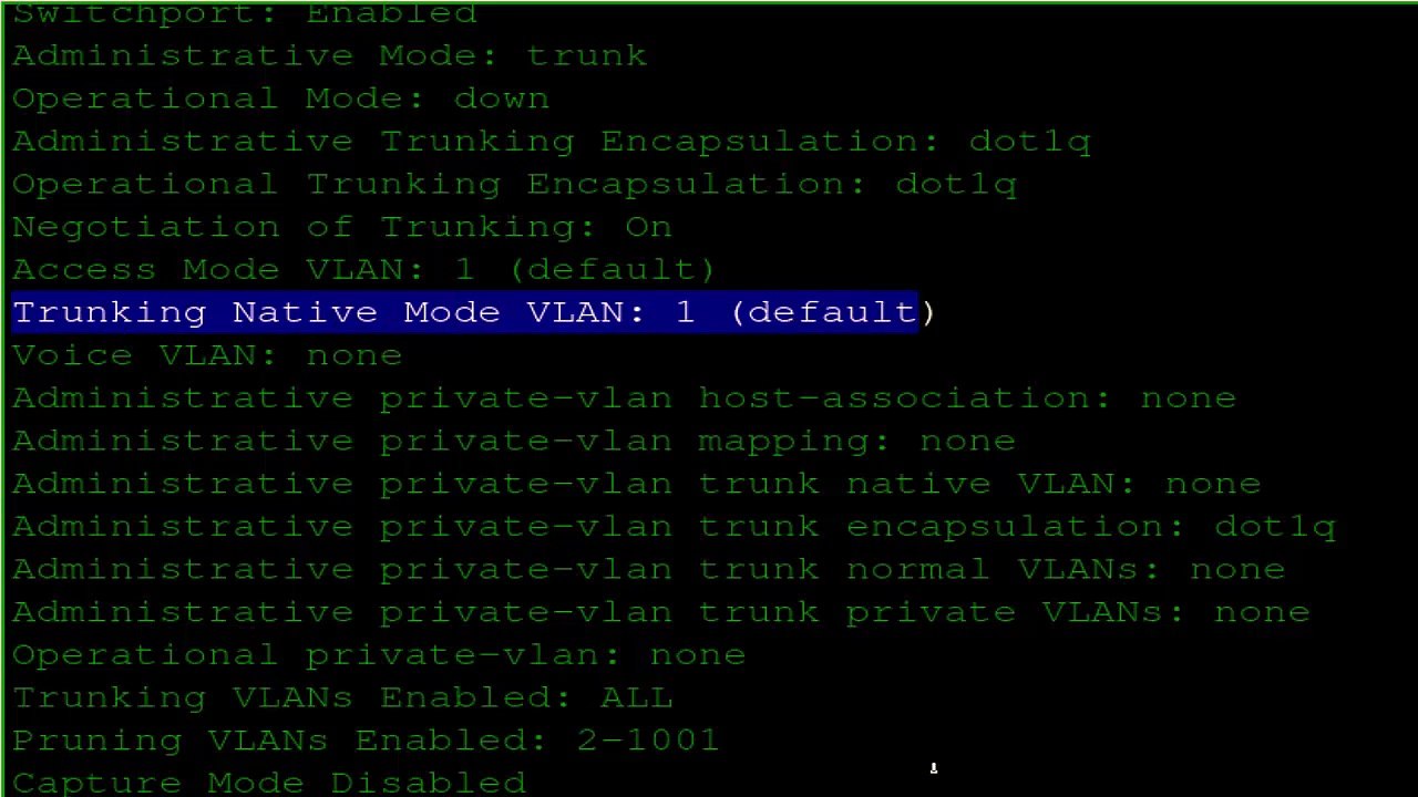 Changing the Native VLAN and Shutting Unused_Ports