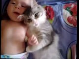Cute cat loves baby and Cute Cat Playing So So Funny
