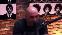 Joe Rogan and Gavin McInnes on Milo Yiannopoulos Controversy - Downloaded fr