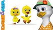 Five Little Ducks - Nursery Rhymes and Songs for Children from Dave and Ava