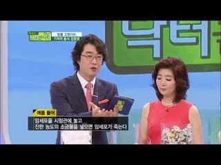 암을 고쳤다는 기적의 음식 검증법