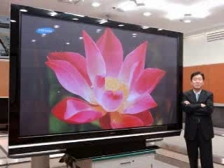 lcd or plasma tv