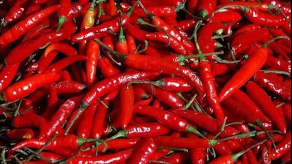 Chillies for diabetes