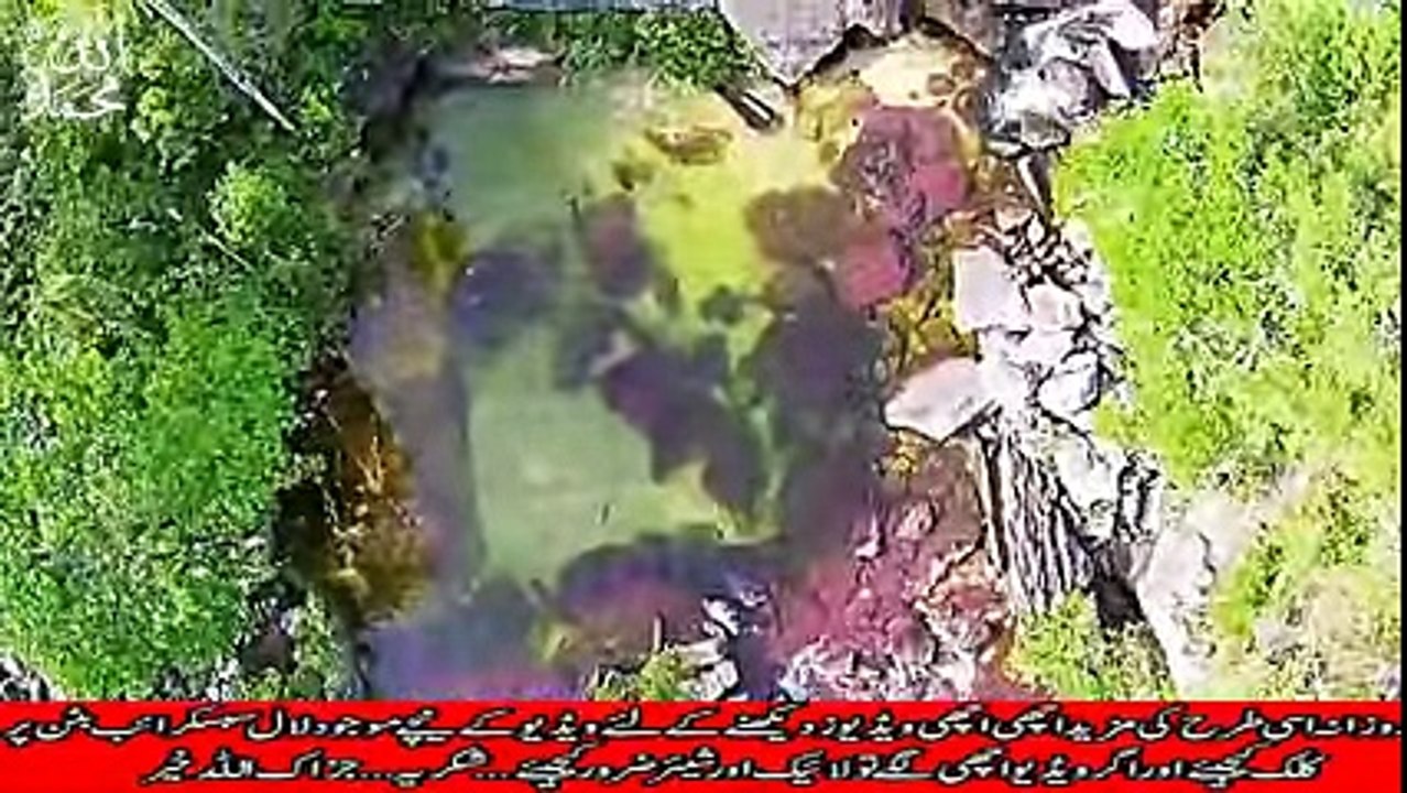 Allah ki Qudrat !!! Allah ki Shaan !!! سُبحَانَ اللّهِ وَ بِحَمْدِهِ ، سُبحَانَ اللّهِ الْعَظِيمِ -