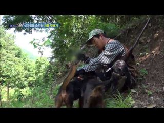 섬마을 습격한 괴물 멧돼지와의 숨막히는 추격전