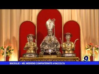 Bisceglie  |  Nel weekend confraternite a raccolta