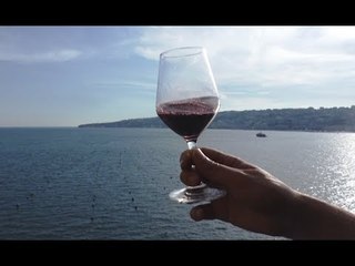 Napoli - VitignoItalia 2017 chiude con boom di presenze (25.05.17)