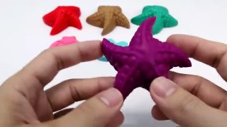 Learning Colors Shapes & Sizes with W ox Toys for Children