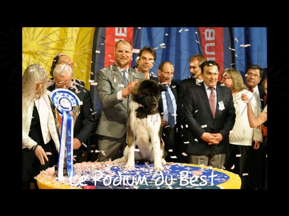 Exposition Canine de Montluçon 20017
