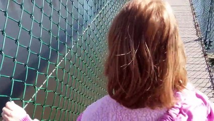 Scared girl crosses swinging bridge!