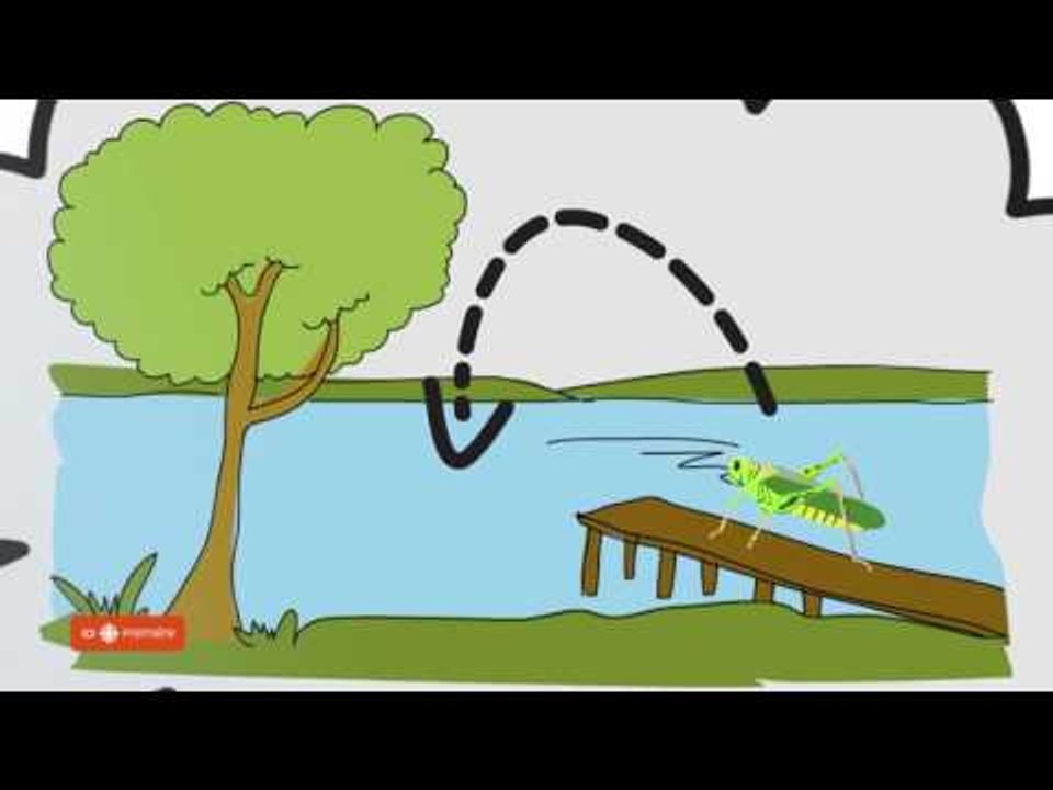 Les parasites - La nature selon Boucar