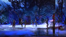 AcroArmy - Acrobats Fly Higher Than a Tree Topper - America's Got