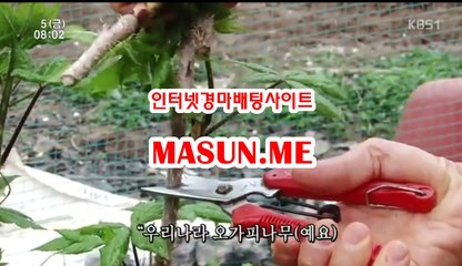 부산경마결과 【【 Ma S un , ME 】】 경륜예상지