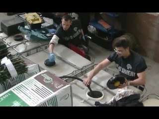 Pavia - Furto di idrocarburi, sgominata banda italo-lettone (26.05.17)