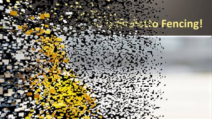 Daniel Menolotto Fencing