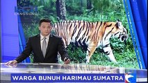 Warga Bunuh Harimau Sumatera