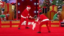 Olate Dogs - Dogs Do Flips and Perform Holiday Tricks - America's G