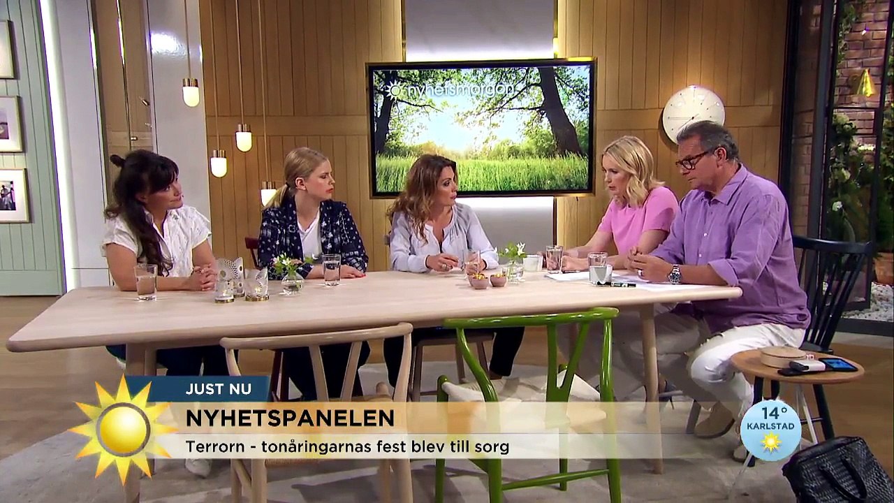 TV4 Nyhetspanelen den 26 maj
