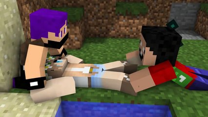 Popular video - Minecrafts Animation