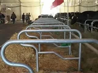 Concours national Prim'Holstein