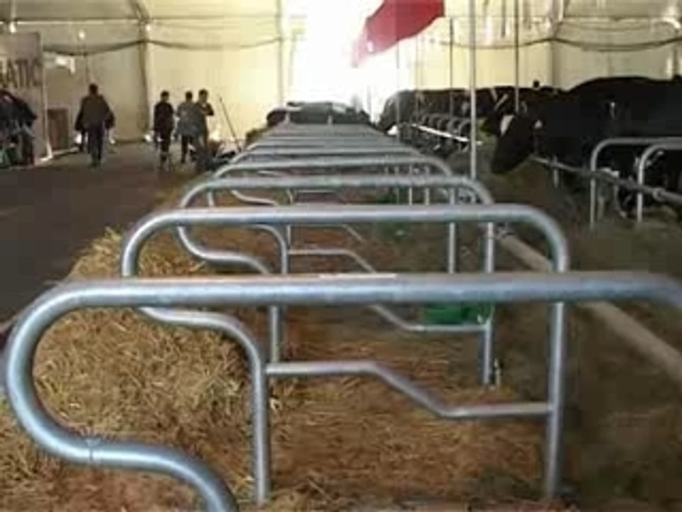 Concours national Prim'Holstein