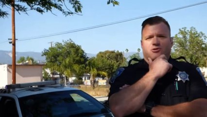 1st Amendment Audit Compilation p3