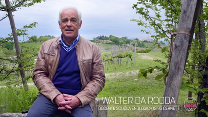 GIRO GOLOSO - TAPPA 20 - Conegliano