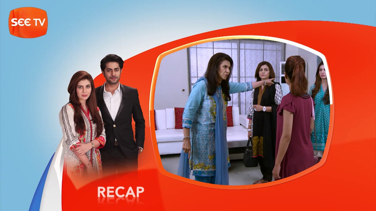 Apnay - Episode 29 - Complete - 22 May ,2017 - SEE TV