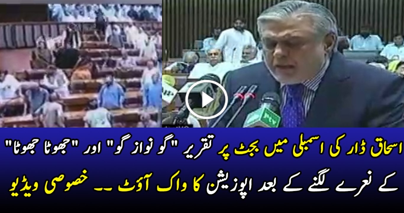 Ishaq Dar Speech