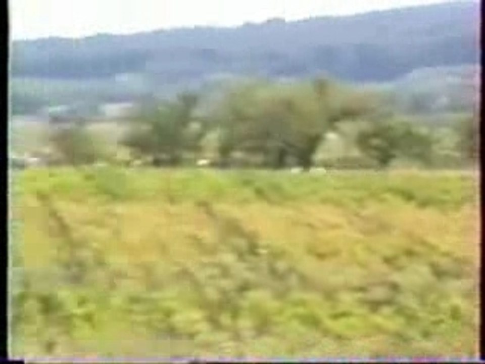 La Saxo en Rallye, Best of