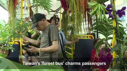 Taiwan's 'forest bus' charms passengers